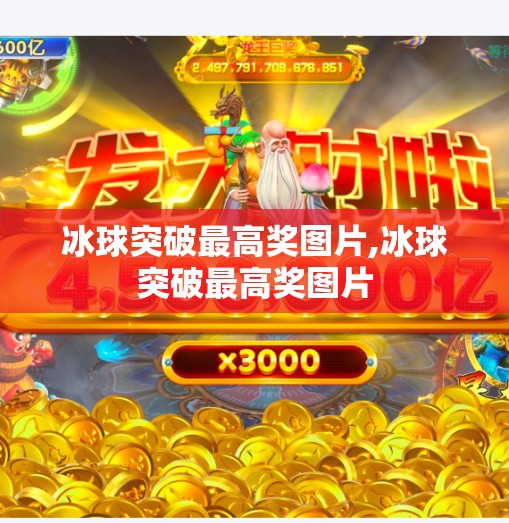 冰球突破最高奖图片,冰球突破最高奖图片