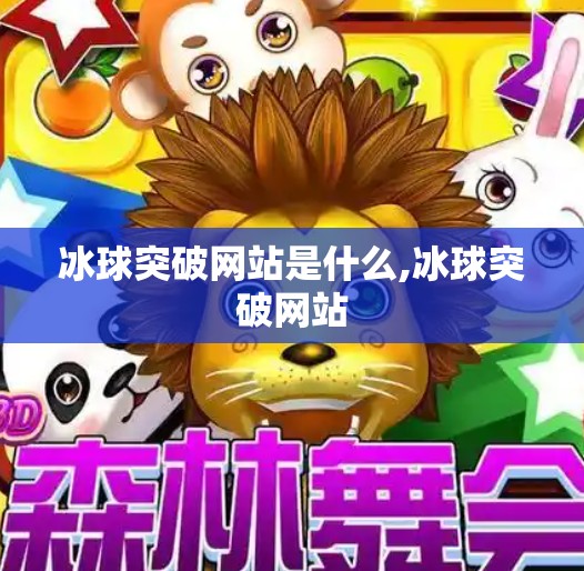 冰球突破网站是什么,冰球突破网站