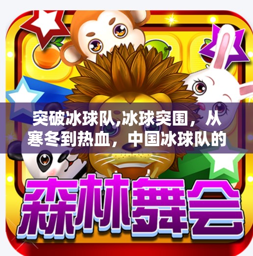 突破冰球队,冰球突围，从寒冬到热血，中国冰球队的逆袭之路