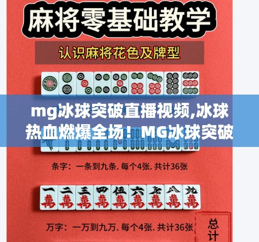 冰球突破豪华版模拟器 第59页