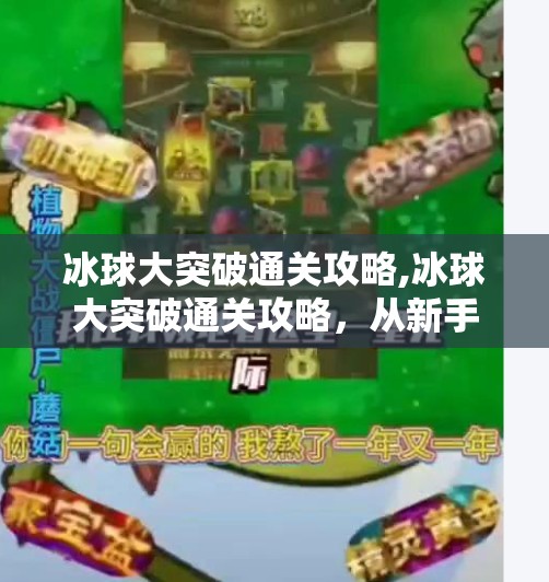 冰球大突破通关攻略,冰球大突破通关攻略,从新手到高手的全路径指南