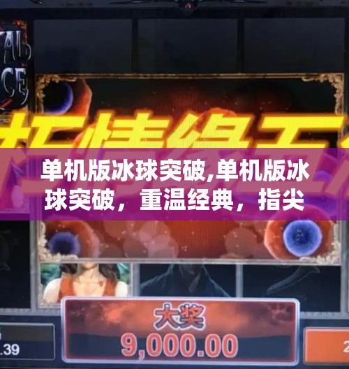 单机版冰球突破,单机版冰球突破,重温经典,指尖上的竞技热血