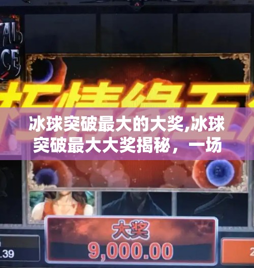 冰球突破豪华版 第43页