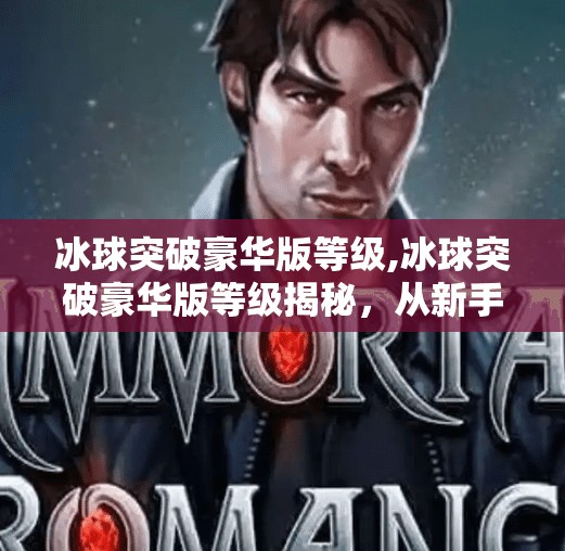 冰球突破豪华版等级,冰球突破豪华版等级揭秘,从新手到高手的进阶之路,你真的了解它吗?
