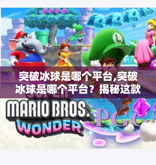 冰球突破豪华版模拟器 第20页