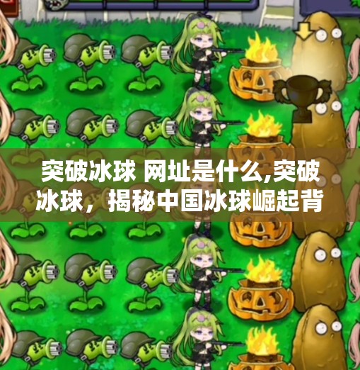 突破冰球 网址是什么,突破冰球,揭秘中国冰球崛起背后的秘密武器—你不知道的冰上奇迹网址!