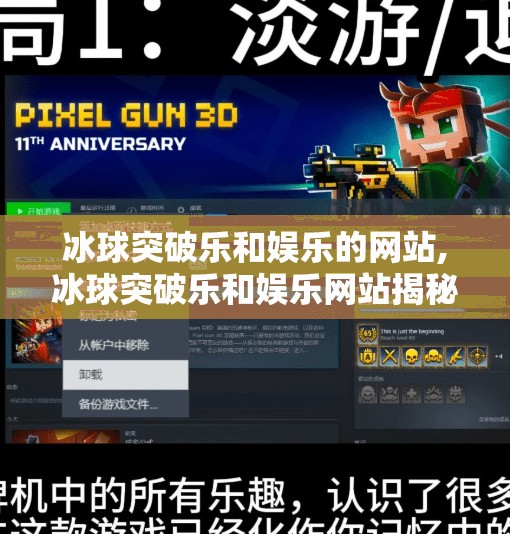 冰球突破乐和娱乐的网站,冰球突破乐和娱乐网站揭秘,高风险背后的游戏陷阱你真的懂吗?