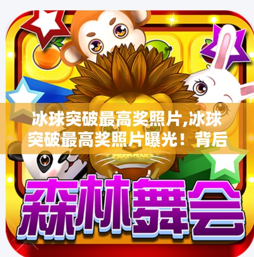 冰球突破豪华版试玩 第9页