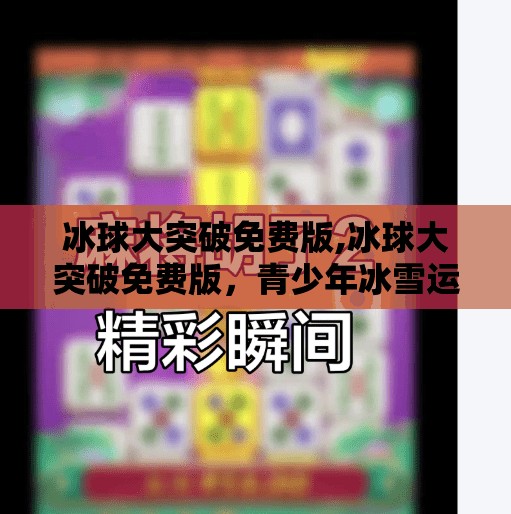 冰球突破豪华版模拟器 第6页